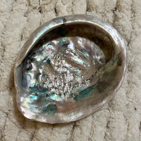 Abalone Healing Shell - Picture 3 of 4
